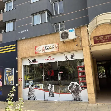 Galina Apartamento *